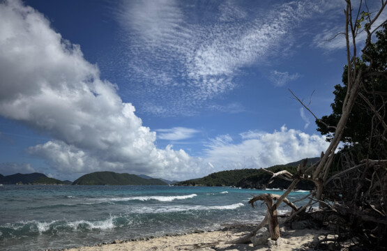 Guide to Buying Real Estate on St. John