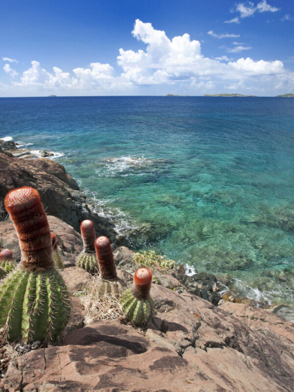 luxury villa estate, luxury villas for rent in st john, luxury villas for rent in Usvi, MLS Listings in the USVI, Moving to St John, Newest MLS listings, ocean view hawaii real estate, places to stay in st john virgin islands, Properties for sale on St John Virgin Island,